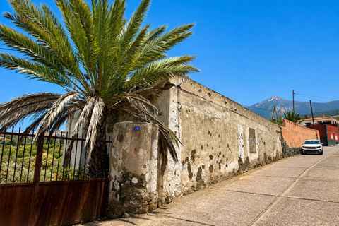 Bauernhof in San Marcos, Tenerife - Foto 3